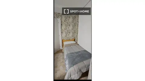 Habitació de lloguer, Alacant