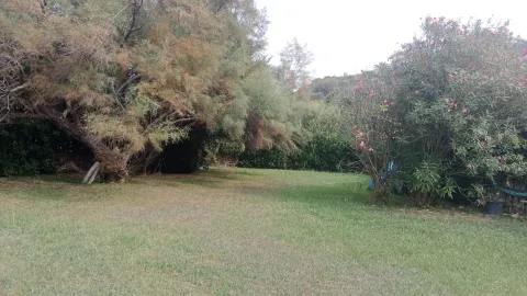 Pis de 40 m² a Sopela (3/12)