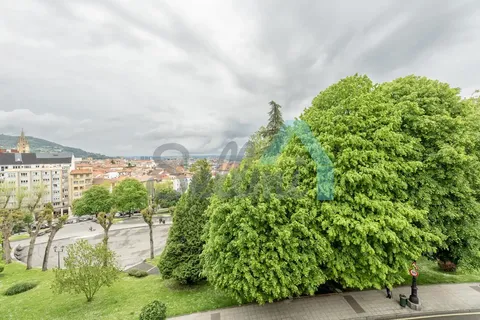 Habitació de lloguer, Oviedo