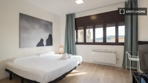 Appartamento 25 m² a Barcelona