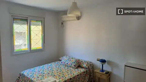 Habitació de lloguer, Màlaga