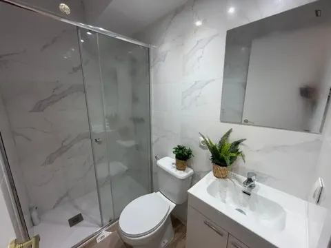 Habitació de lloguer, Alacant