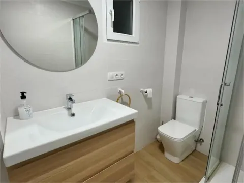 Habitació de lloguer, Elx