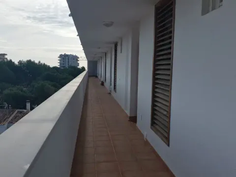 Wohnung 62 m² in Palma