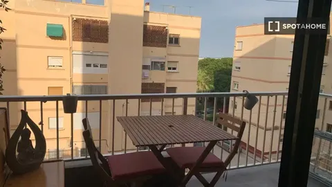 Habitació de lloguer, Alacant