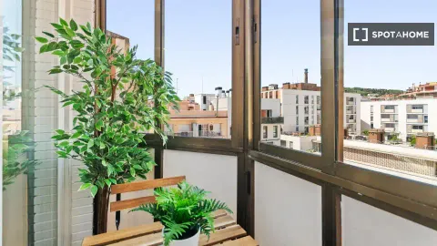 Zimmer zur Miete, Barcelona