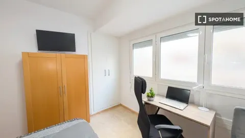 Habitació de lloguer, Alacant
