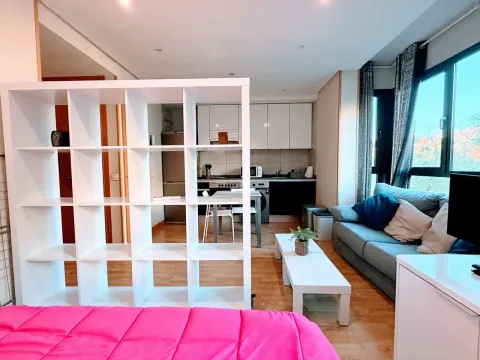 Appartement 30 m² à Madrid (4/14)