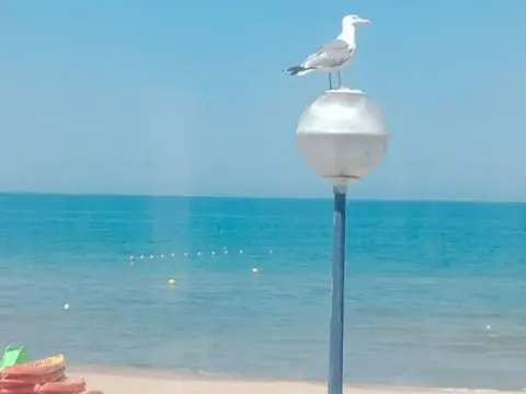 Pis de 70 m² a Miramar