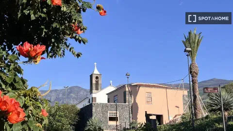 Комната в аренду, La Orotava