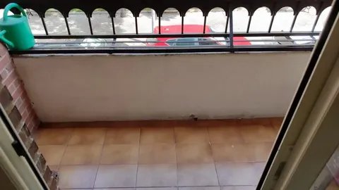 Pis de 75 m² a Còrdova