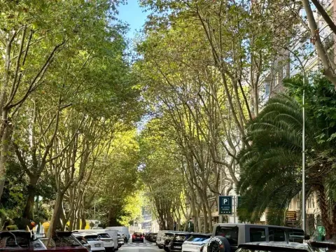 Pis de 187 m² a Madrid