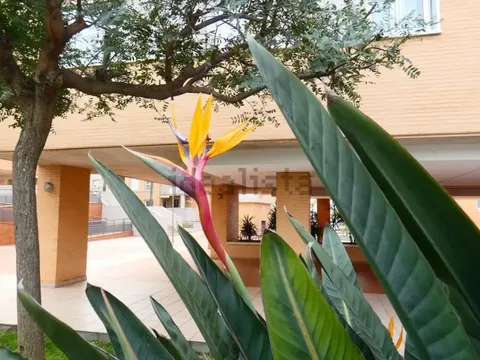 Appartamento 90 m² a Málaga