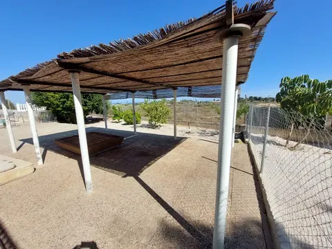 Pis de 300 m² a Elx