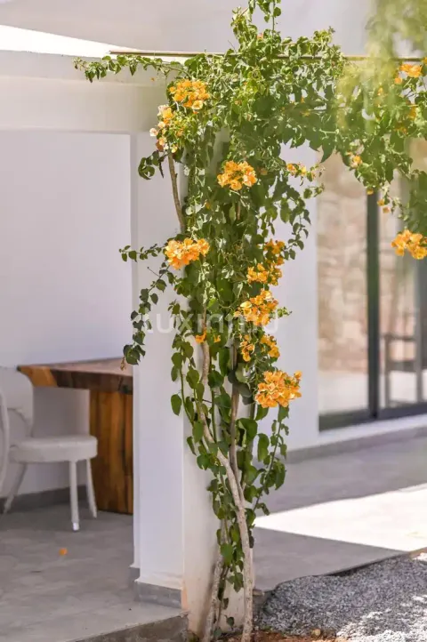 Casa de 420 m² a Sant Josep de sa Talaia