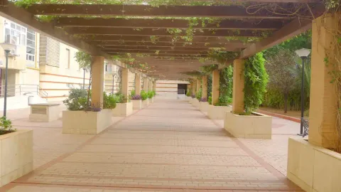 Pis de 50 m² a Sevilla