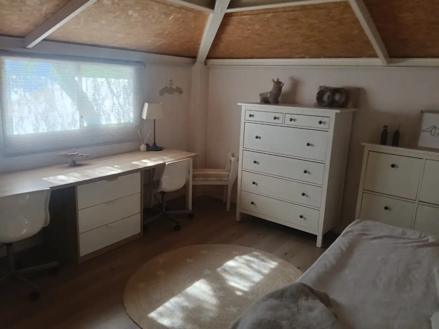 Habitació de lloguer, Alacant