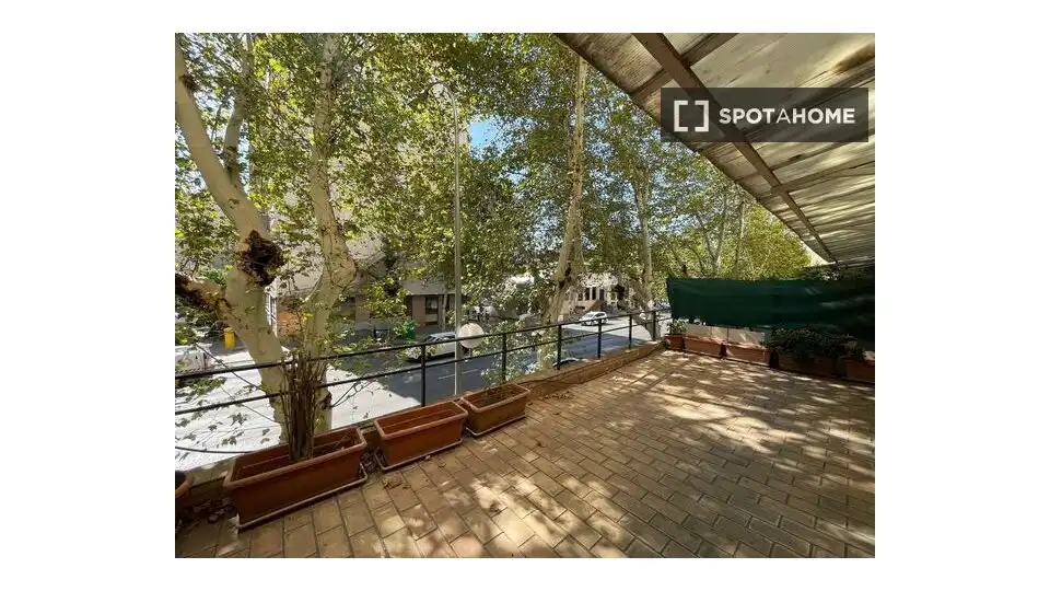 Habitación 232 m², Sevilla