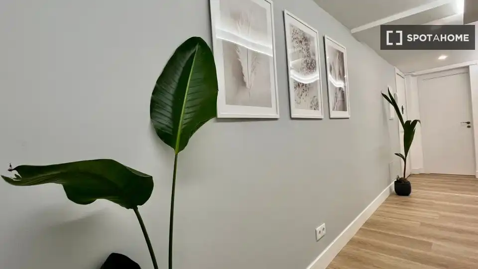 Habitació de lloguer, Madrid