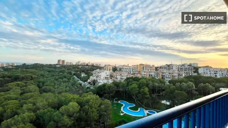 Habitación 81 m², Orihuela