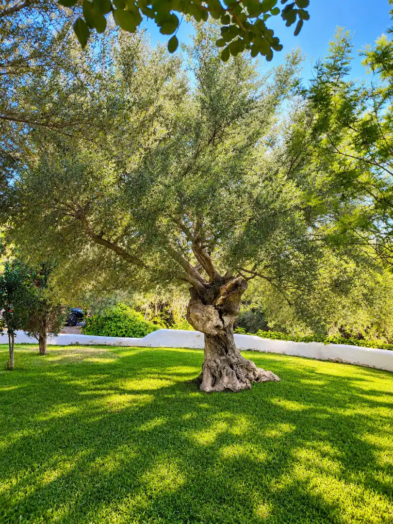 Casa de 140 m² en Andratx