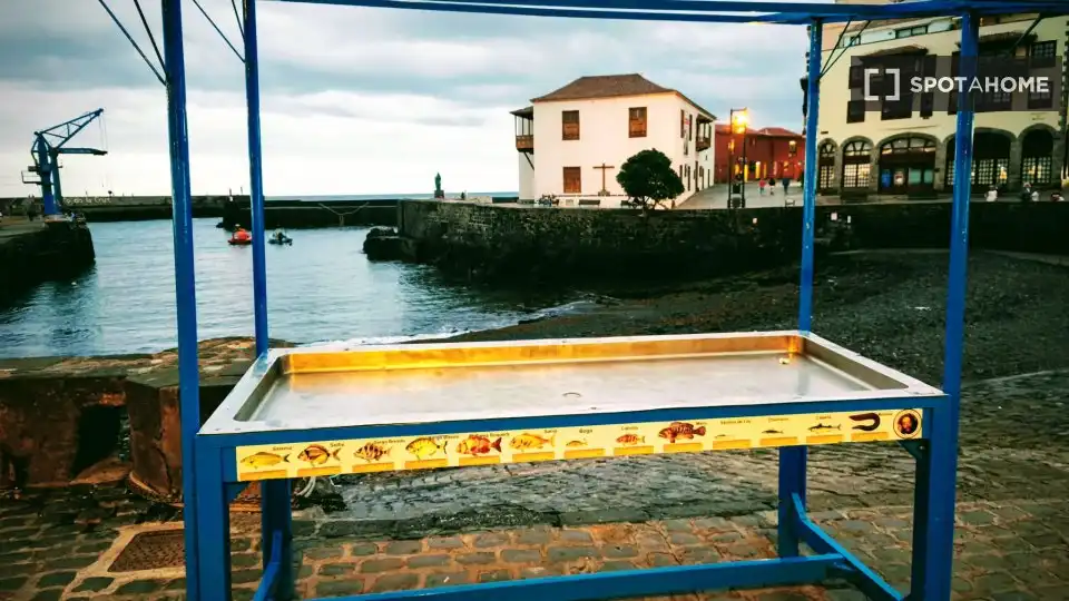 Habitación 35 m², Puerto de la Cruz