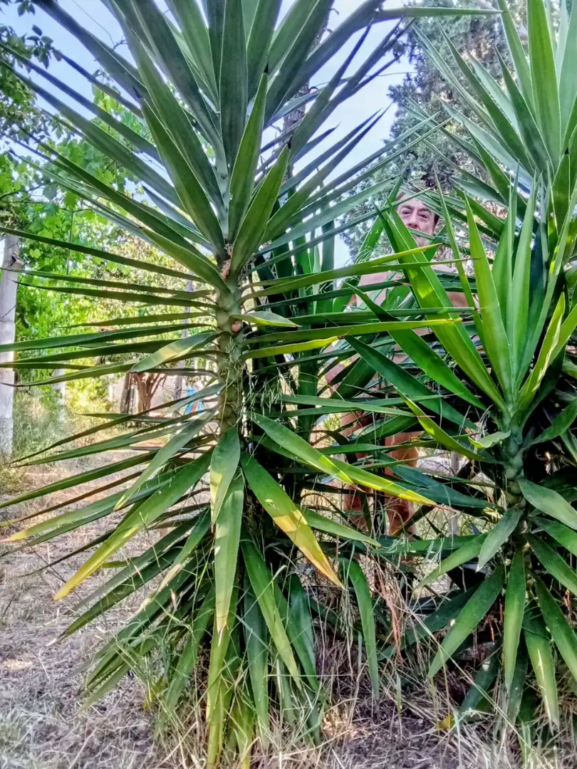 Habitació de lloguer, la Pobla de Vallbona