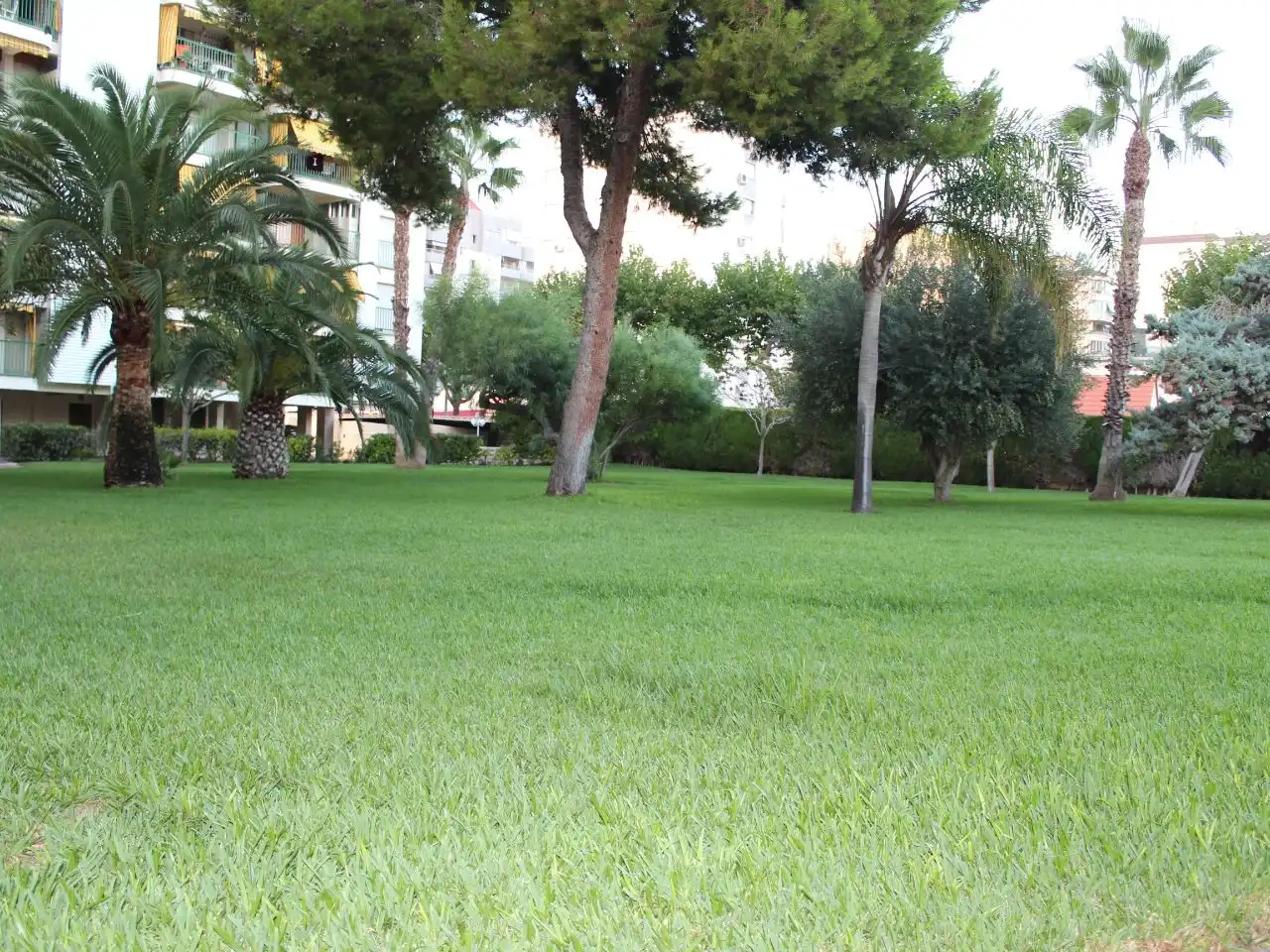 Pis de 87 m² a Gandia