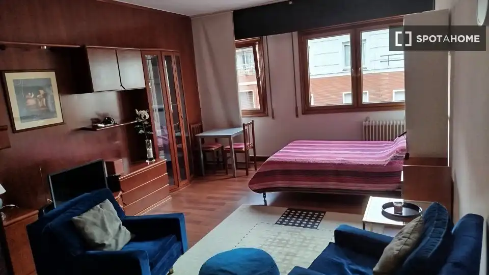 Habitación 43 m², Bilbao