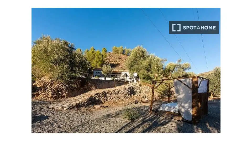 Habitación 81 m², Alcolea