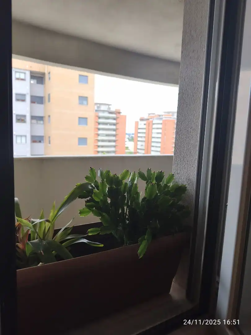 Habitación 80 m², Sevilla