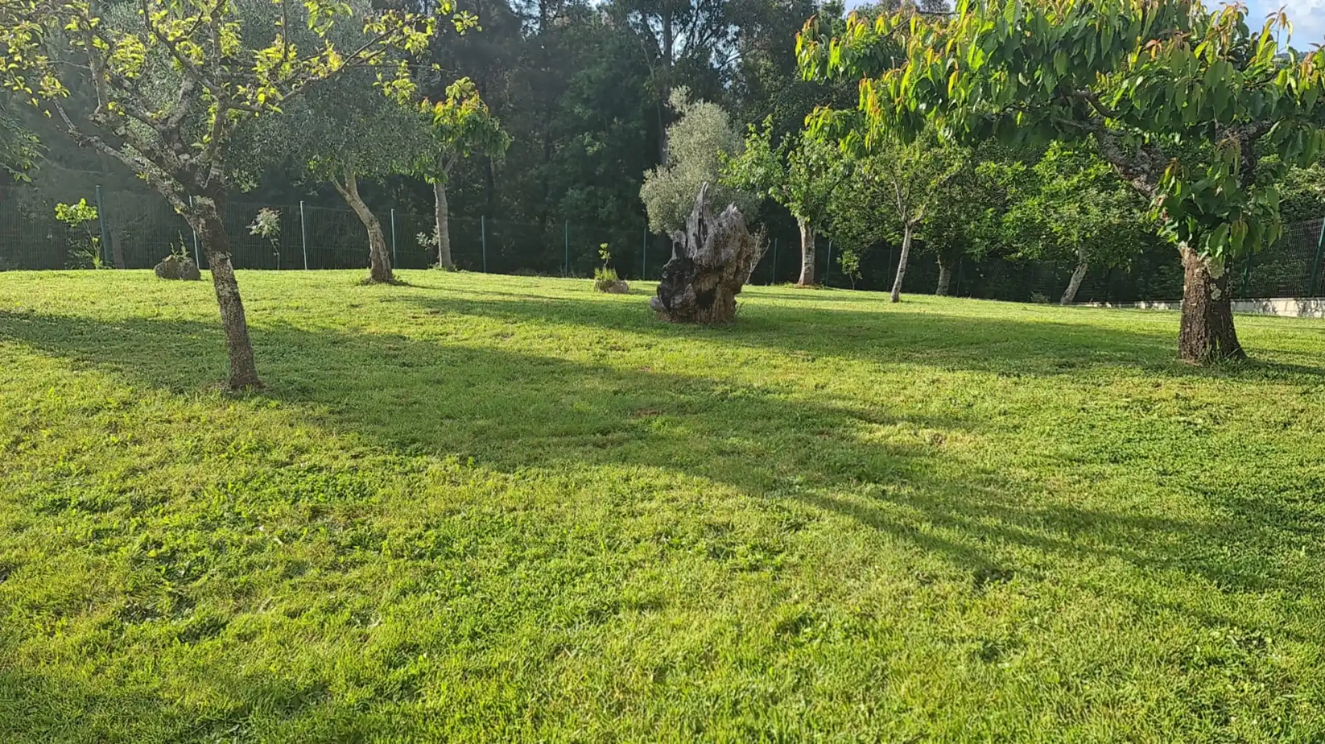Casa de 75 m² a Lalín