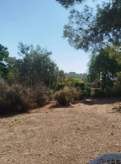 House 60 m² in Montserrat