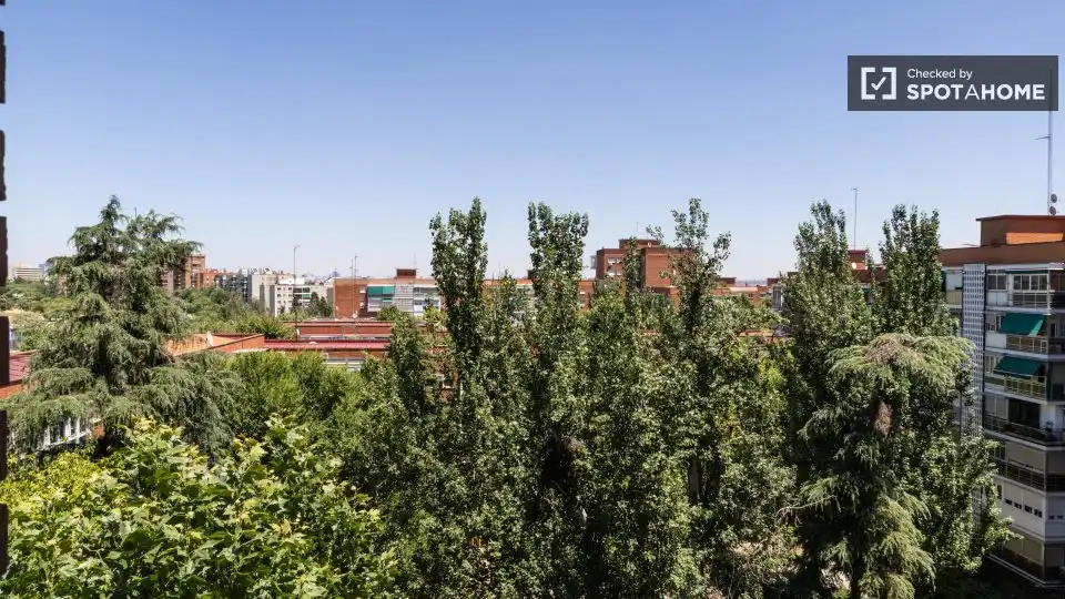 Habitació de lloguer, Madrid