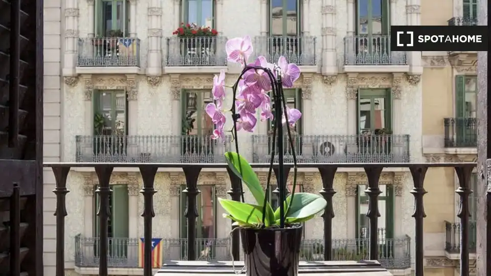 Zimmer zur Miete, Barcelona