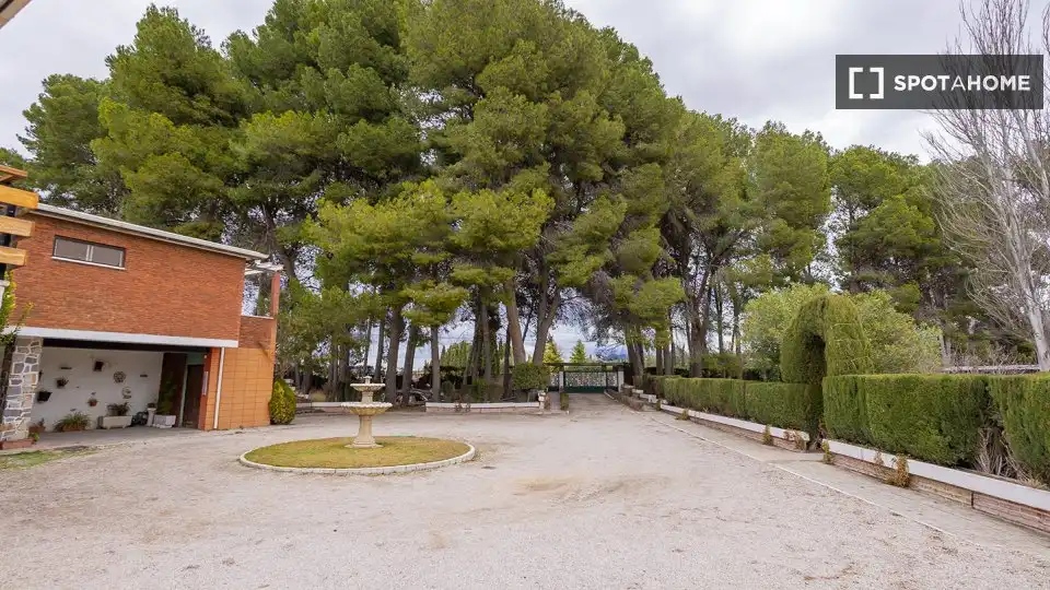 Habitació de lloguer, Villena