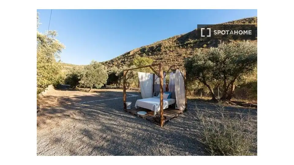 Habitación 81 m², Alcolea