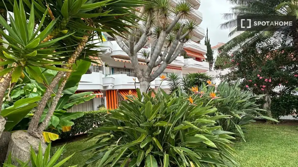 Habitación 53 m², Puerto de la Cruz