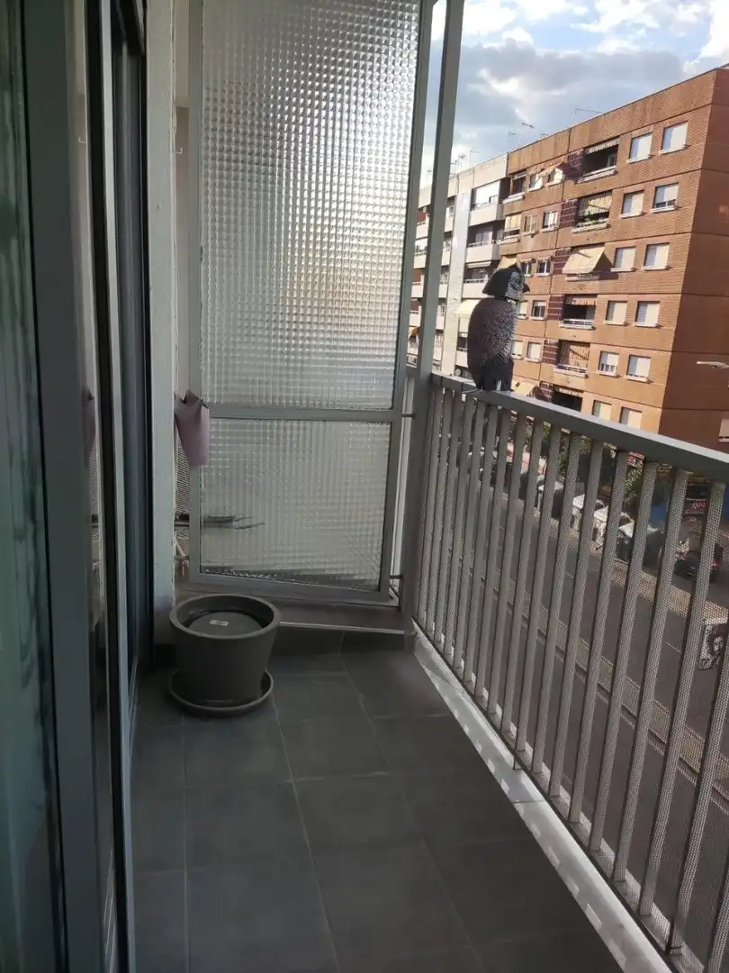 Habitació de lloguer, Còrdova