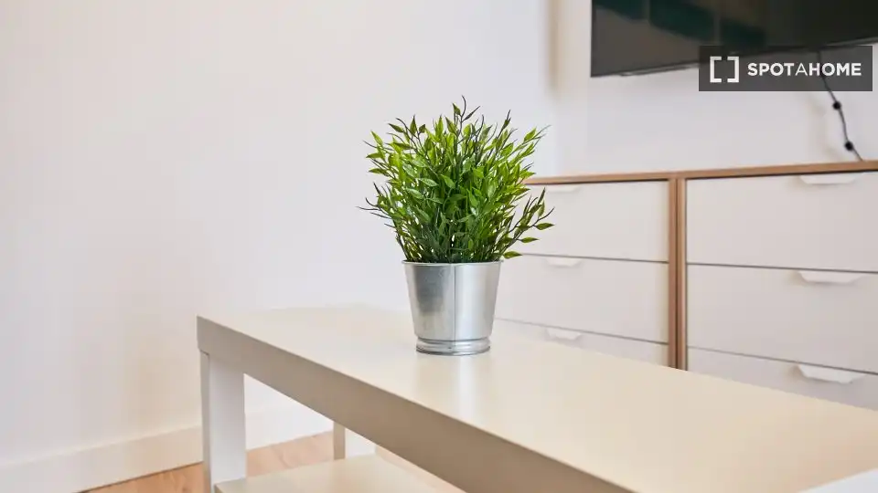 Piso de 30 m² en Madrid