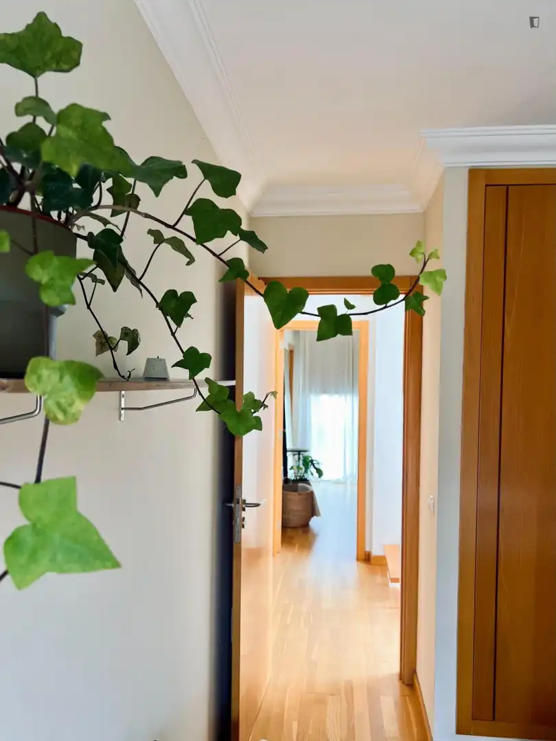 Habitación en alquiler, La Orotava