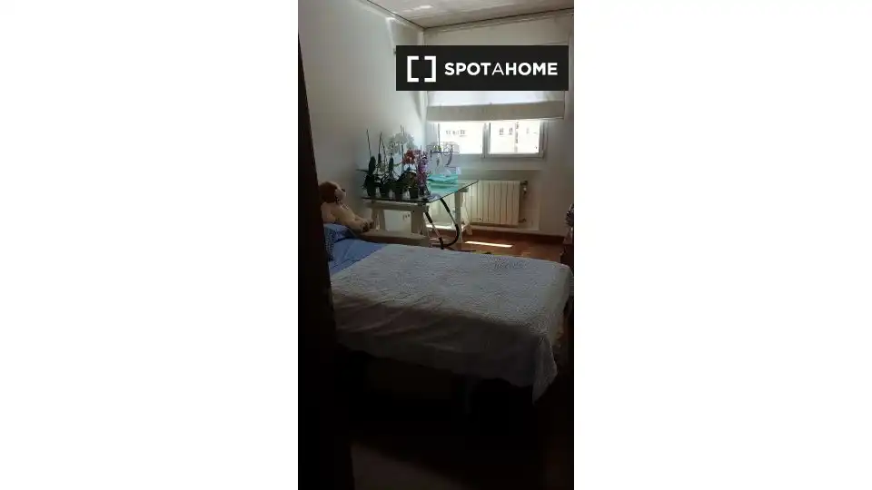 Habitació de lloguer, Alacant