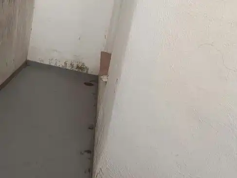 Wohnung 85 m² in Sangüesa / Zangoza