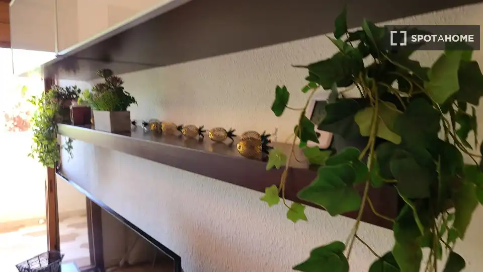 Habitación 61 m², Orihuela