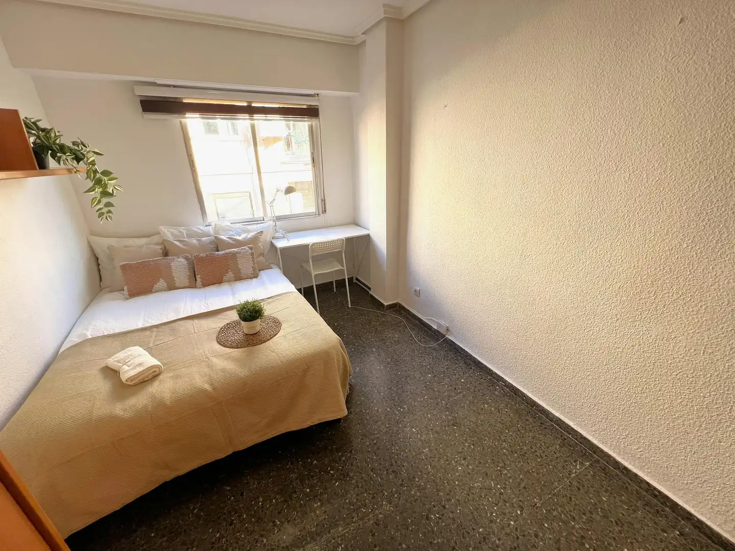 Stanza in affitto, Valencia