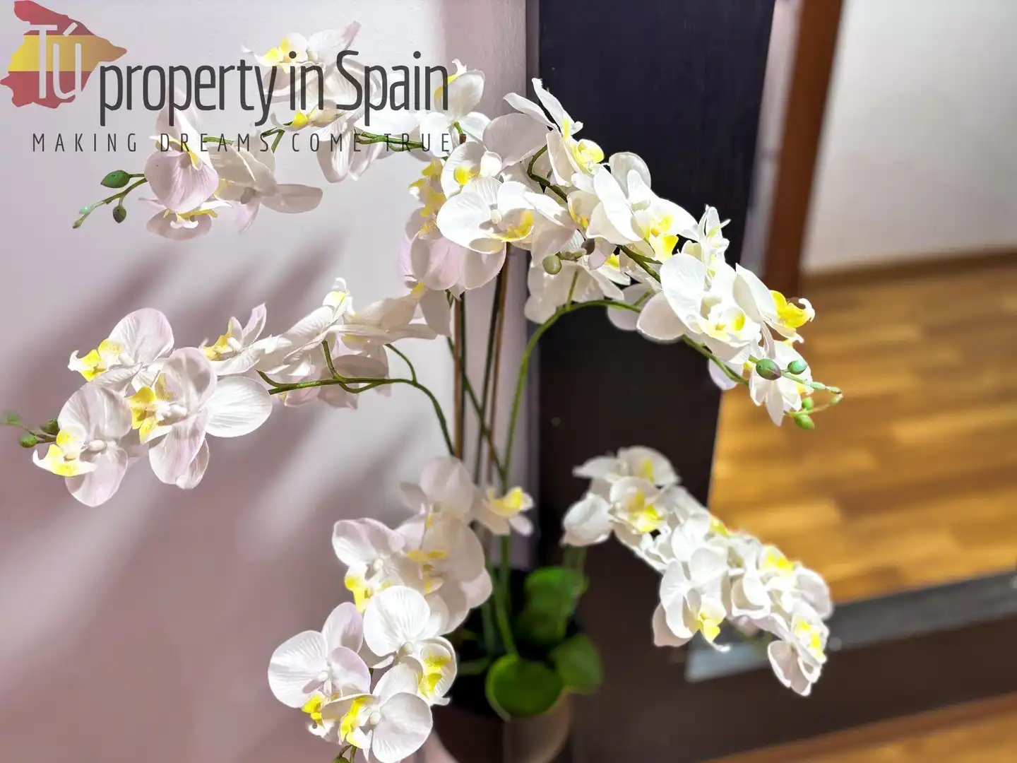 Habitación en alquiler, Alicante