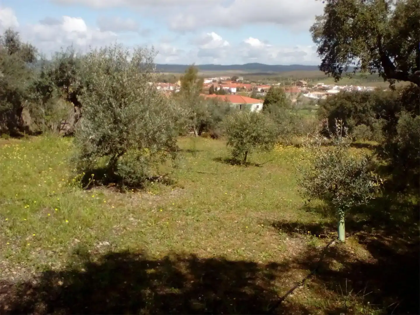 Casa de 240 m² en La Codosera