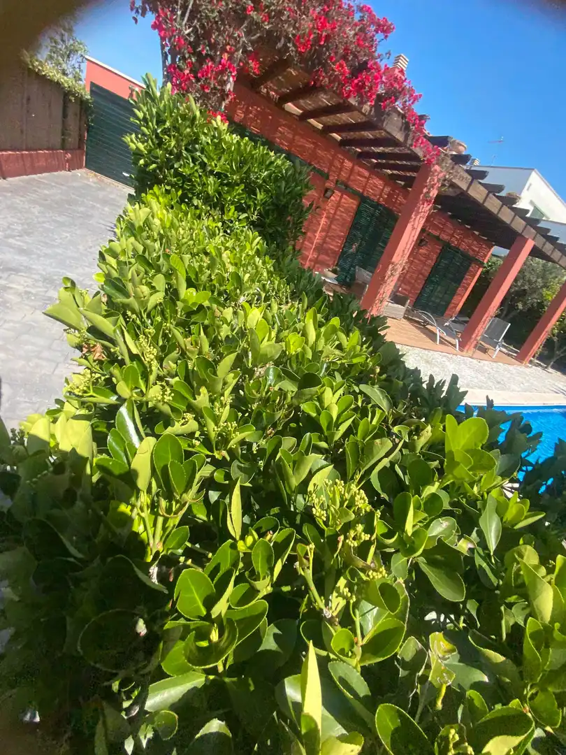 Piso de 439 m² en Sant Feliu de Guíxols