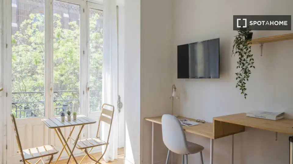 Stanza in affitto, Madrid
