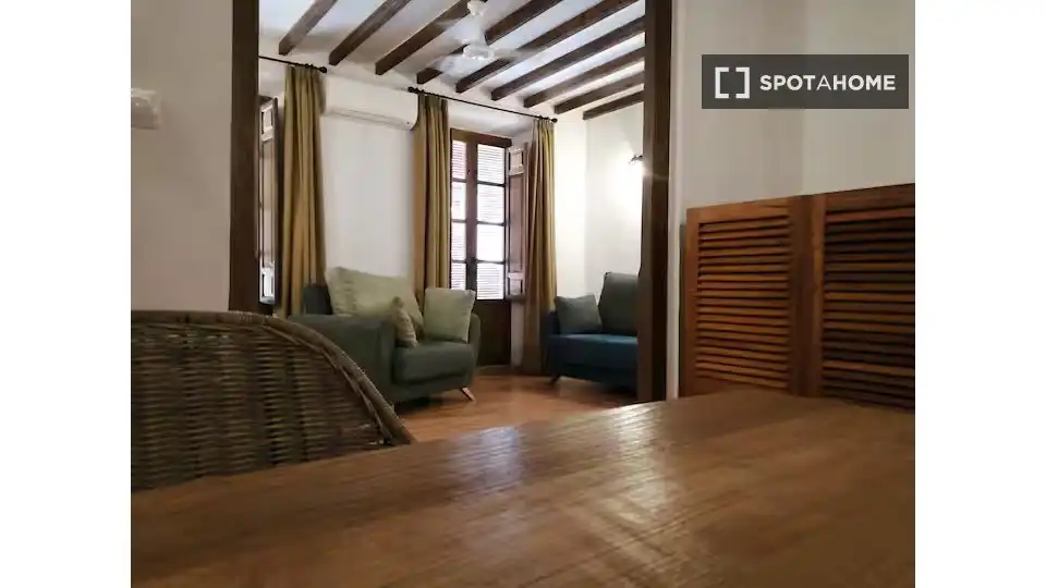 Habitación 46 m², Granada